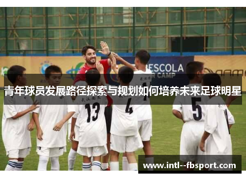 青年球员发展路径探索与规划如何培养未来足球明星